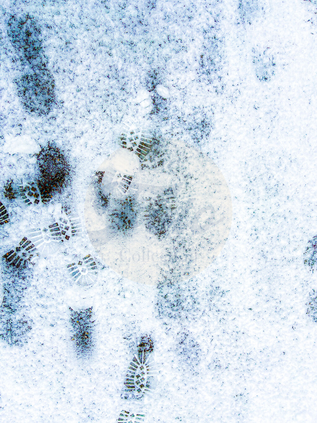 Footsteps in the Snow